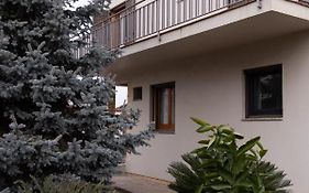 Can Patllari